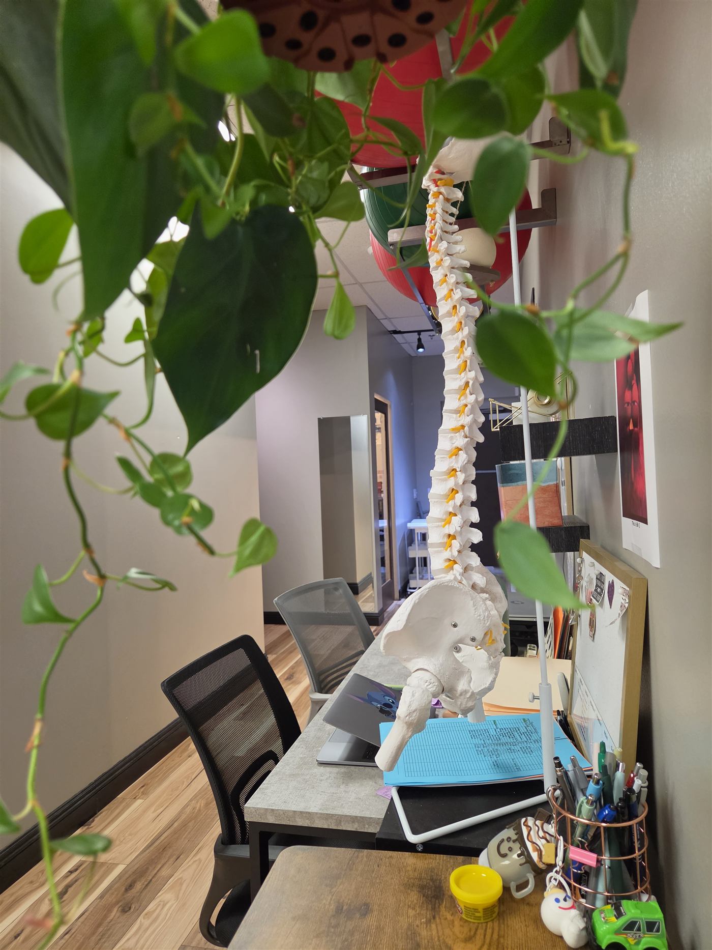 Therapist workstation with a spine model and plants